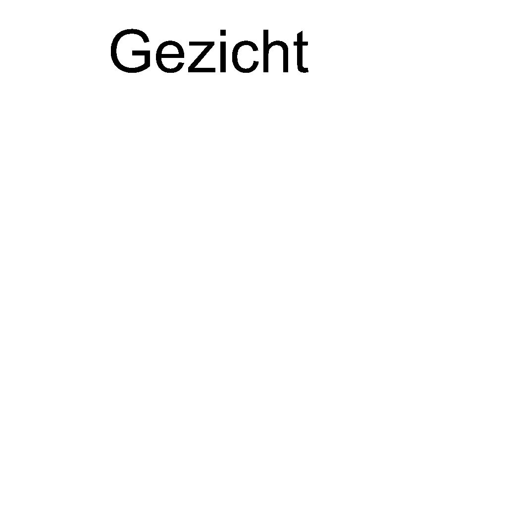 Gezicht