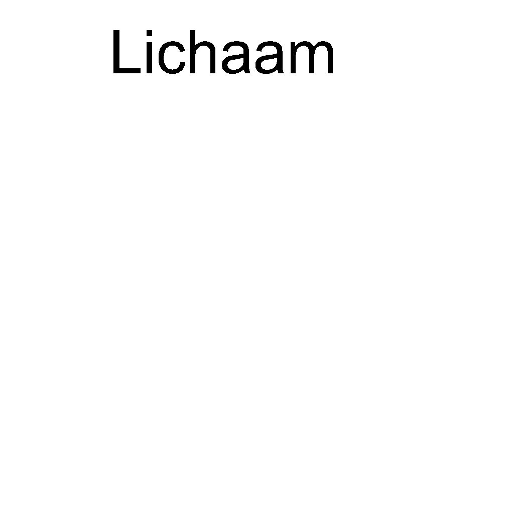 Lichaam