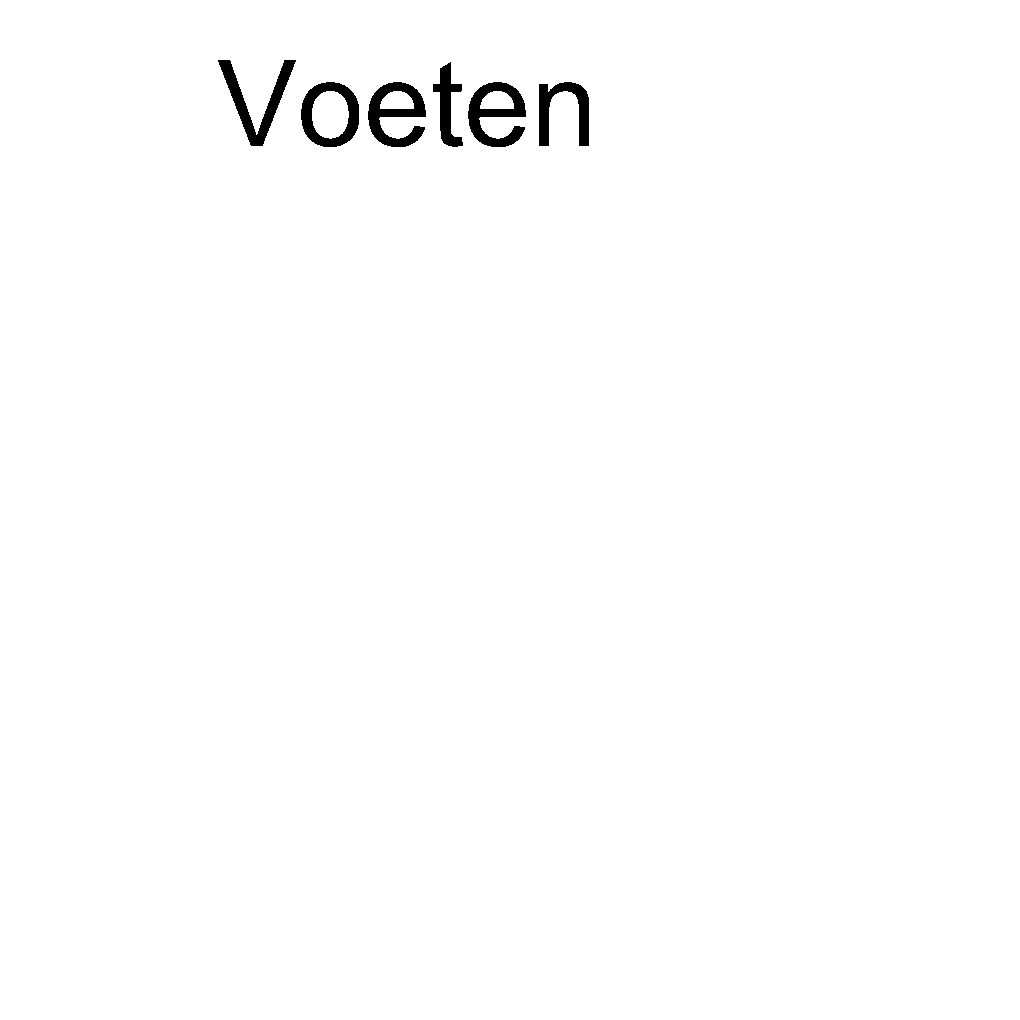 Voeten