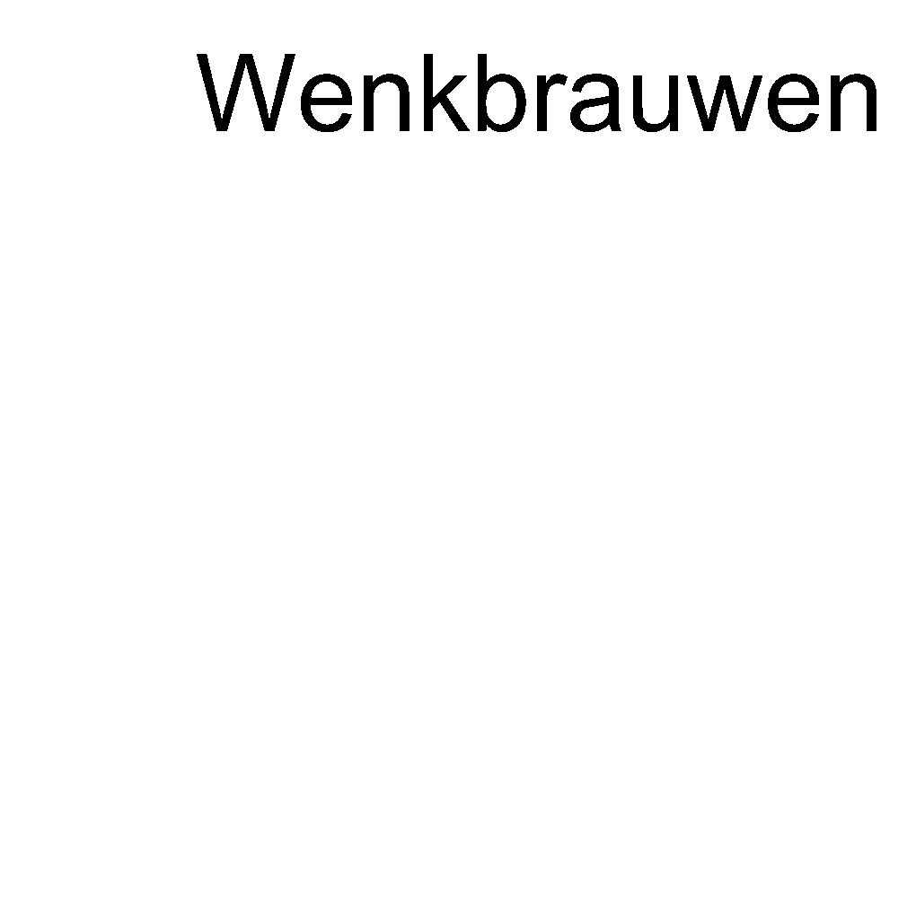 Wenkbrauwen